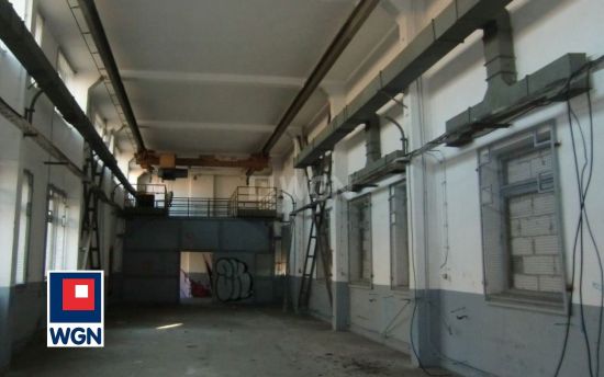Hala produkcyjna na sprzedaż Opole